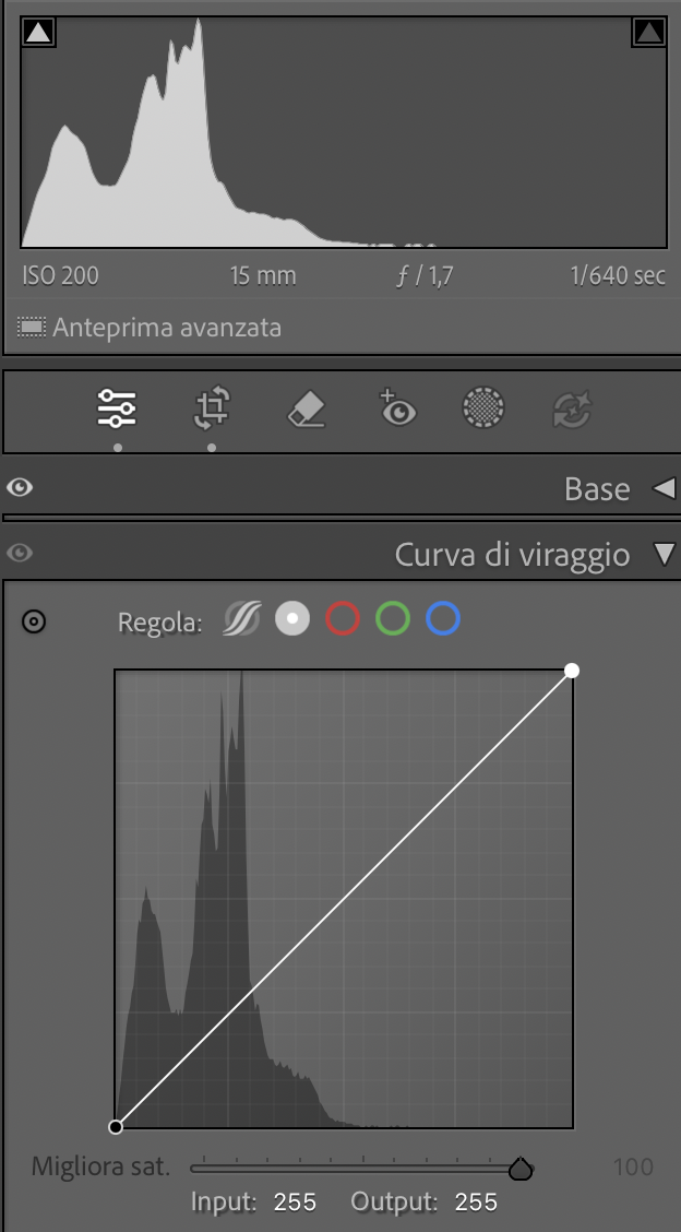 Monocromatico