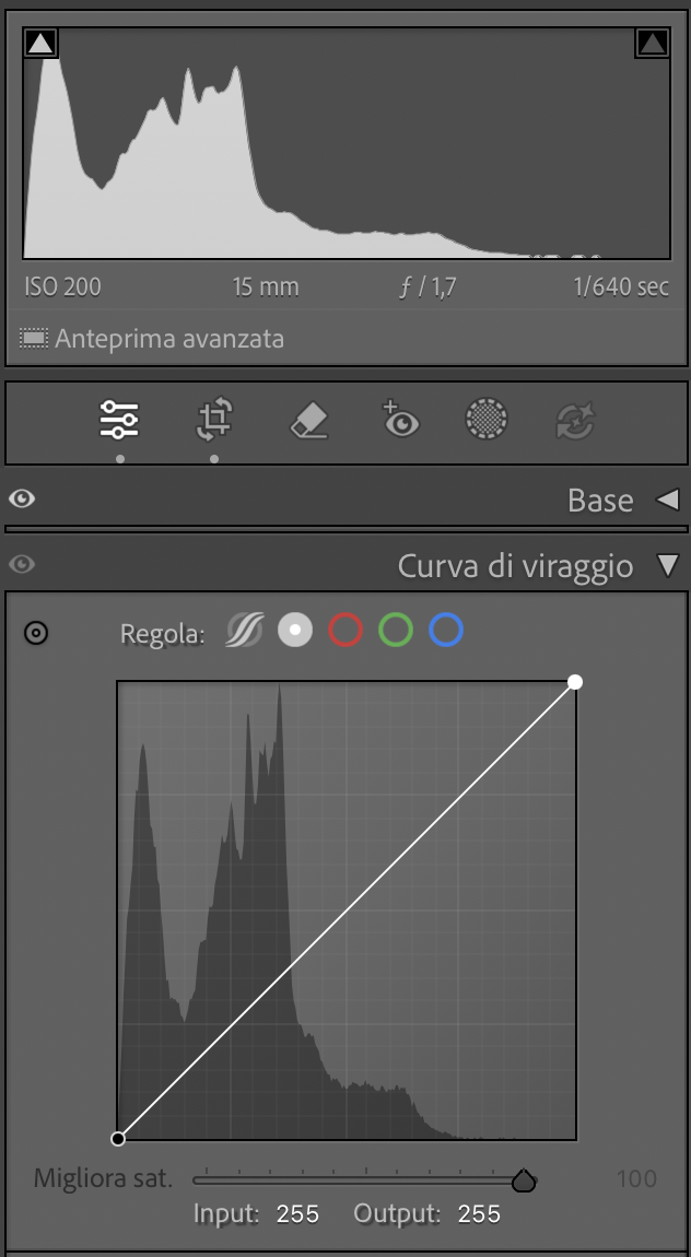 Monocromatico