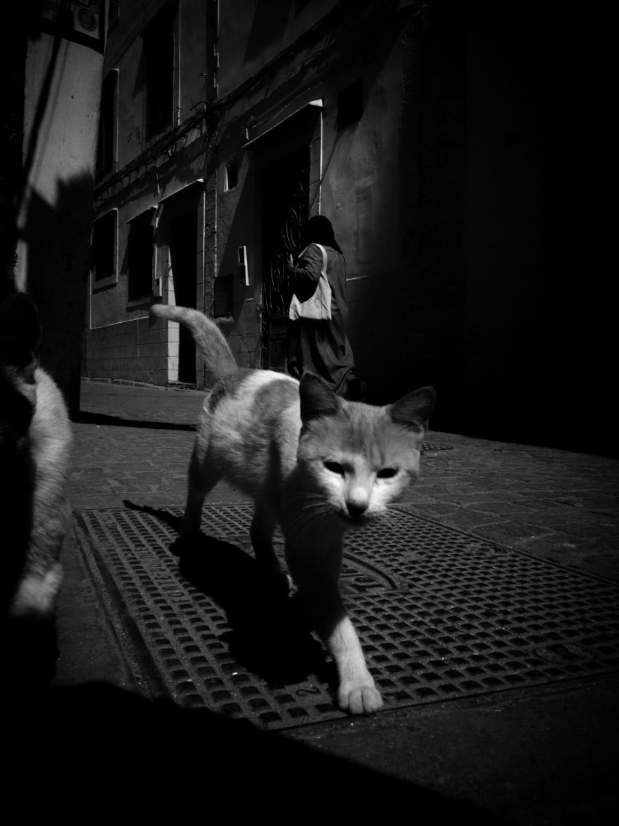 concorsi street photography