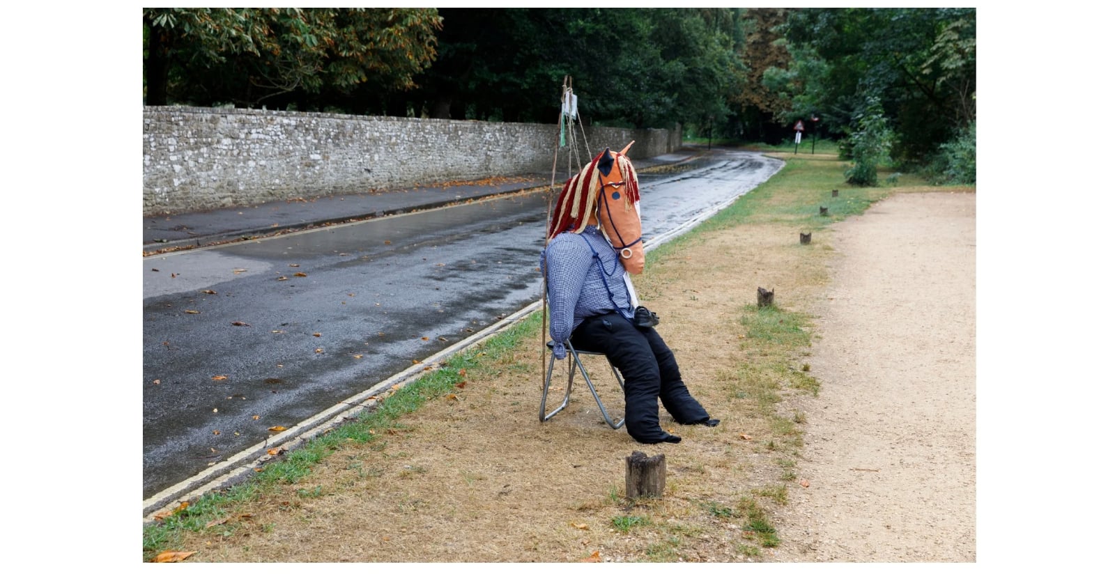martin parr final photos
