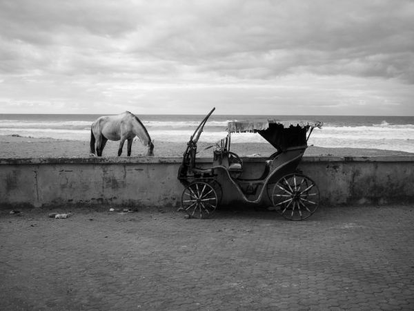 Il riposo ad Essaouira