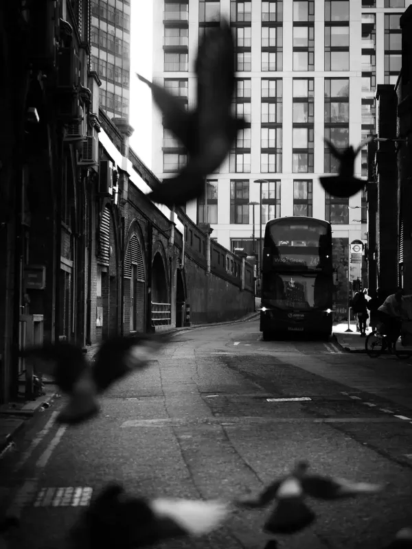 The Bus Street Photography 407f5c0d