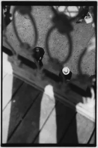 saul-leiter-26