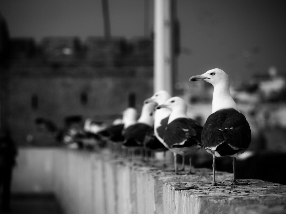 street photography collettiva