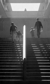 Fan Ho